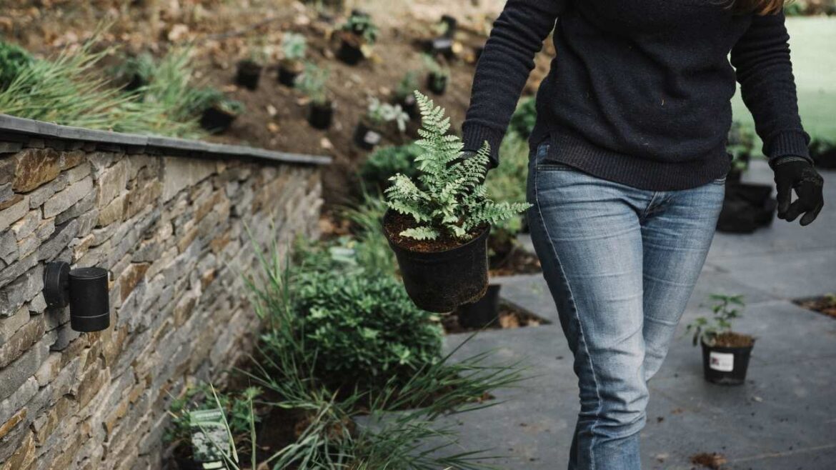 Easy & Cheap Walkway Ideas